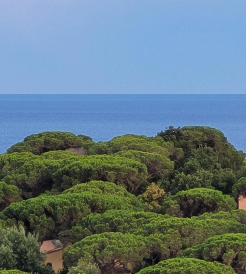 Villa Palm' Issambres 6-7 Personnes, Clim, Avec Piscine, Jardin Et Parking Prives La Garonnette-Plage Exteriör bild