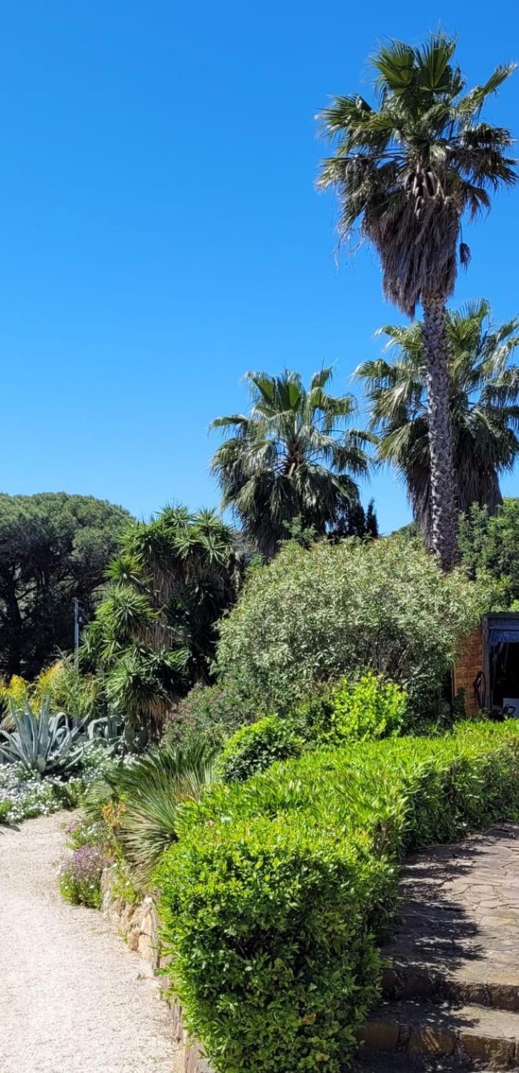 Villa Palm' Issambres 6-7 Personnes, Clim, Avec Piscine, Jardin Et Parking Prives La Garonnette-Plage Exteriör bild